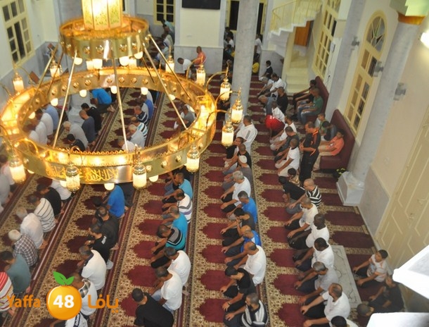 tarawe7 nozhas j (14).JPG